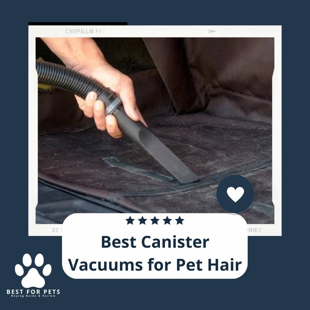15 Best Canister Vacuums for Pet Hair in 2022 15 Best Canister Vacuums for Pet Hair in 2022
