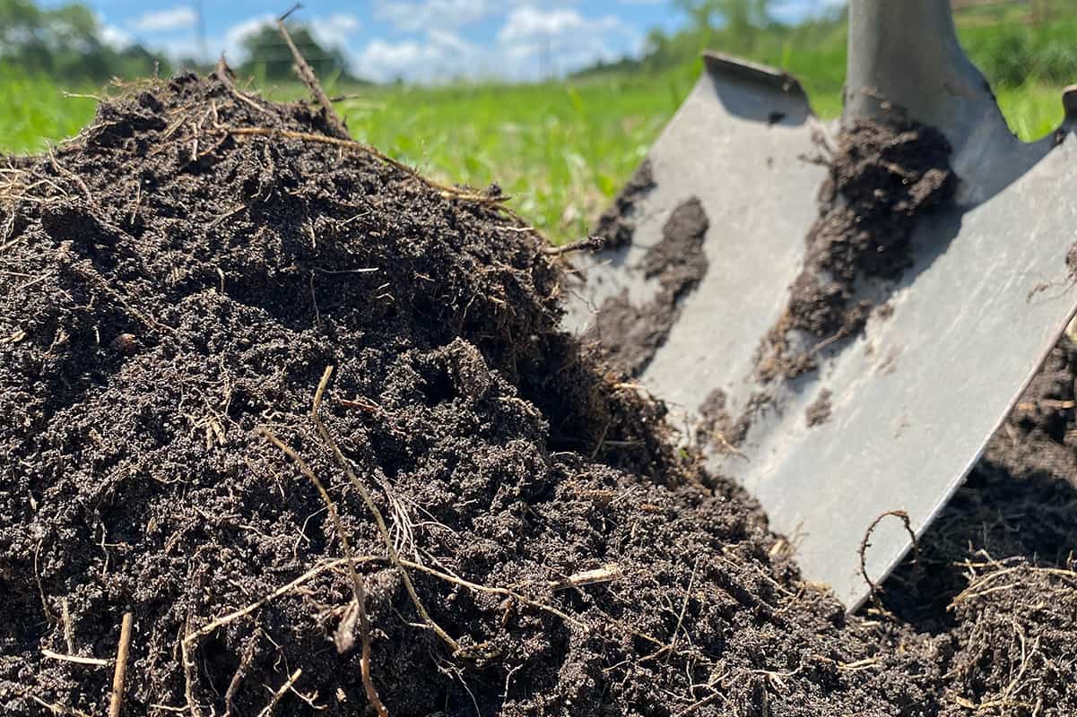 Best Manure For Vegetable Garden of 2022 Best Manure For Vegetable Garden of 2022
