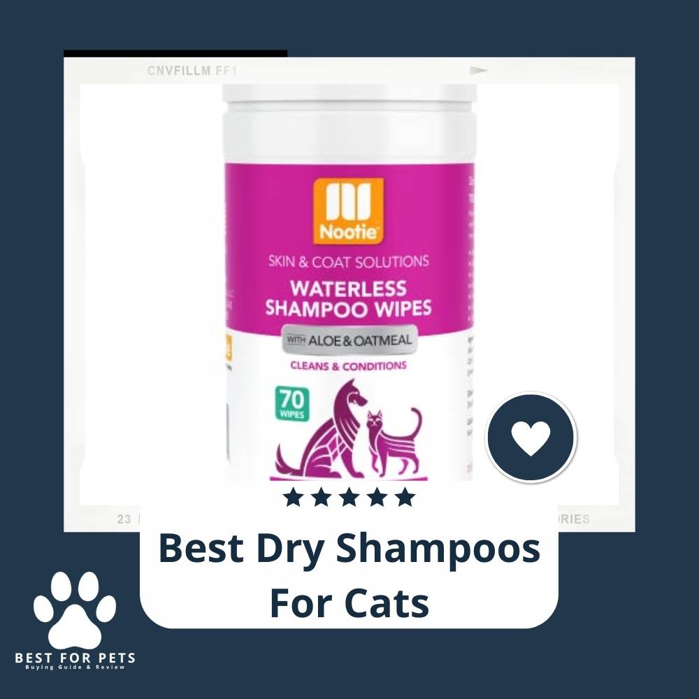 BestForPets All The Things Your Pets Need
